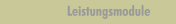 Leistungsmodule