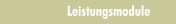 Leistungsmodule